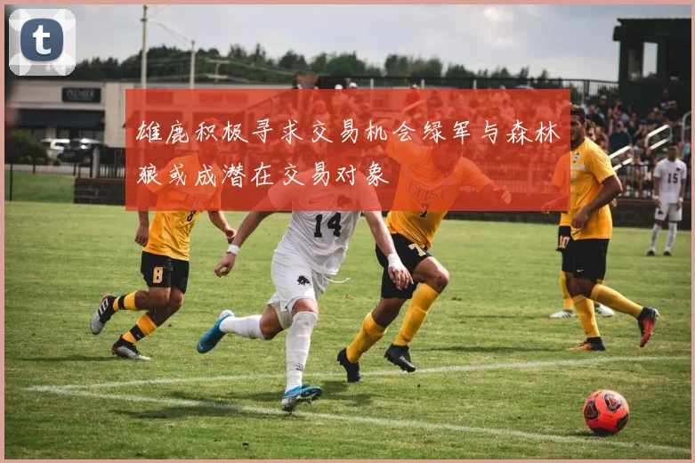 雄鹿积极寻求交易机会绿军与森林狼或成潜在交易对象