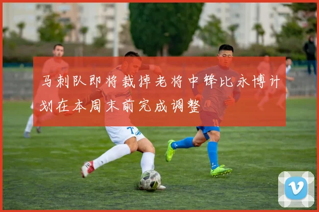 马刺队即将裁掉老将中锋比永博计划在本周末前完成调整
